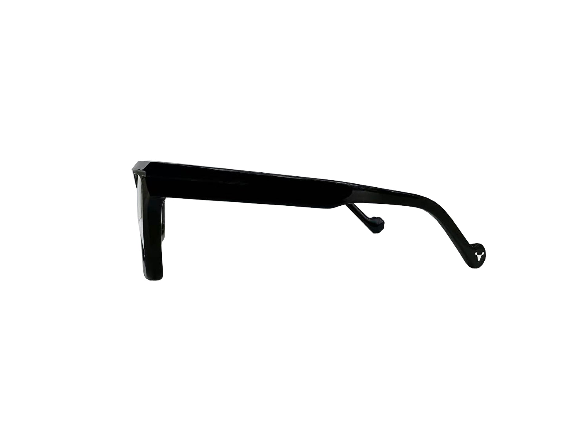 Viriato Eyeglasses