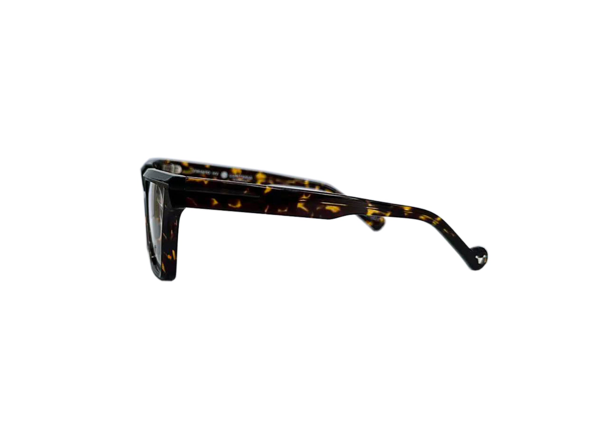 Viriato Eyeglasses