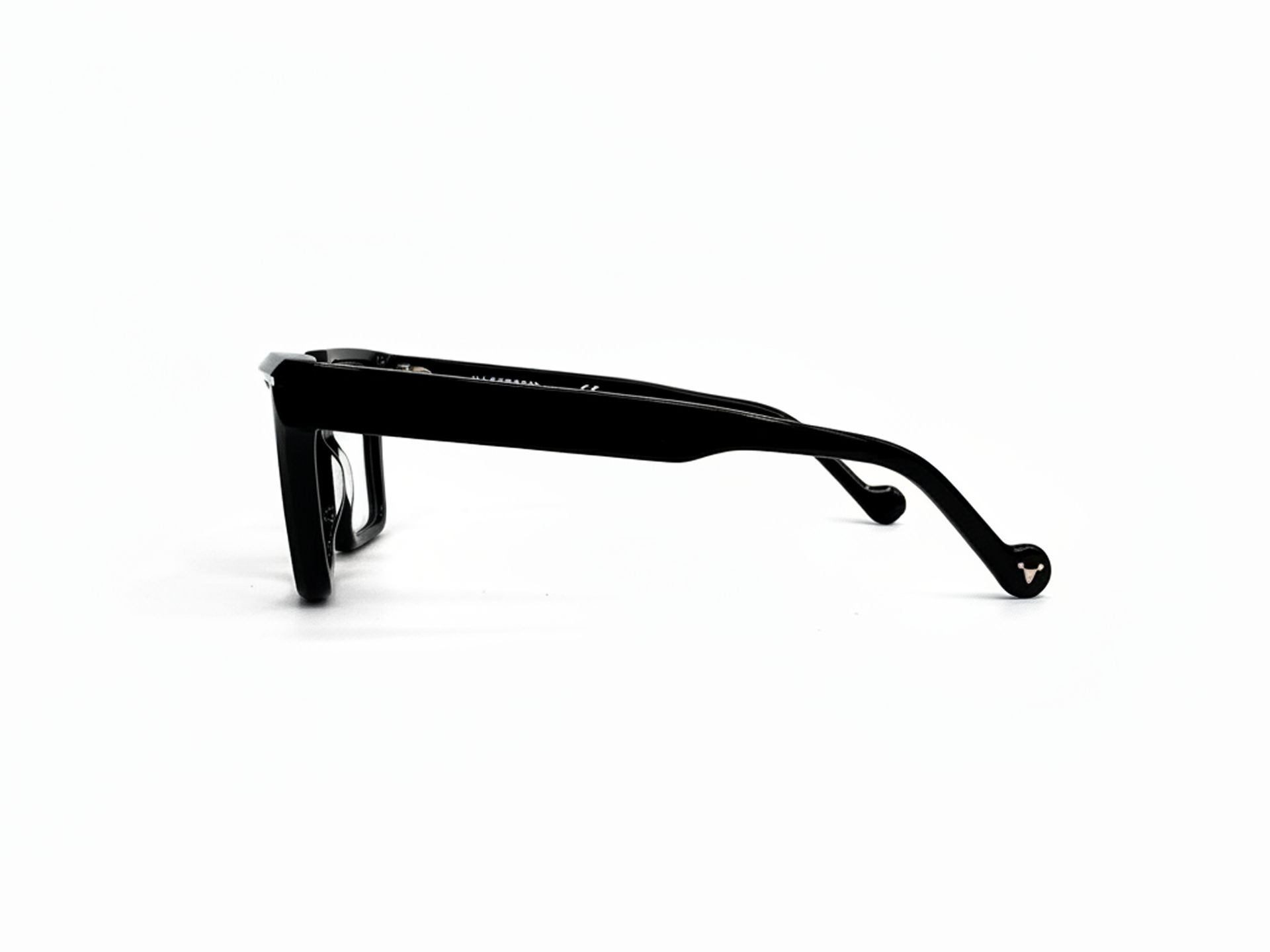 Viriato Eyeglasses
