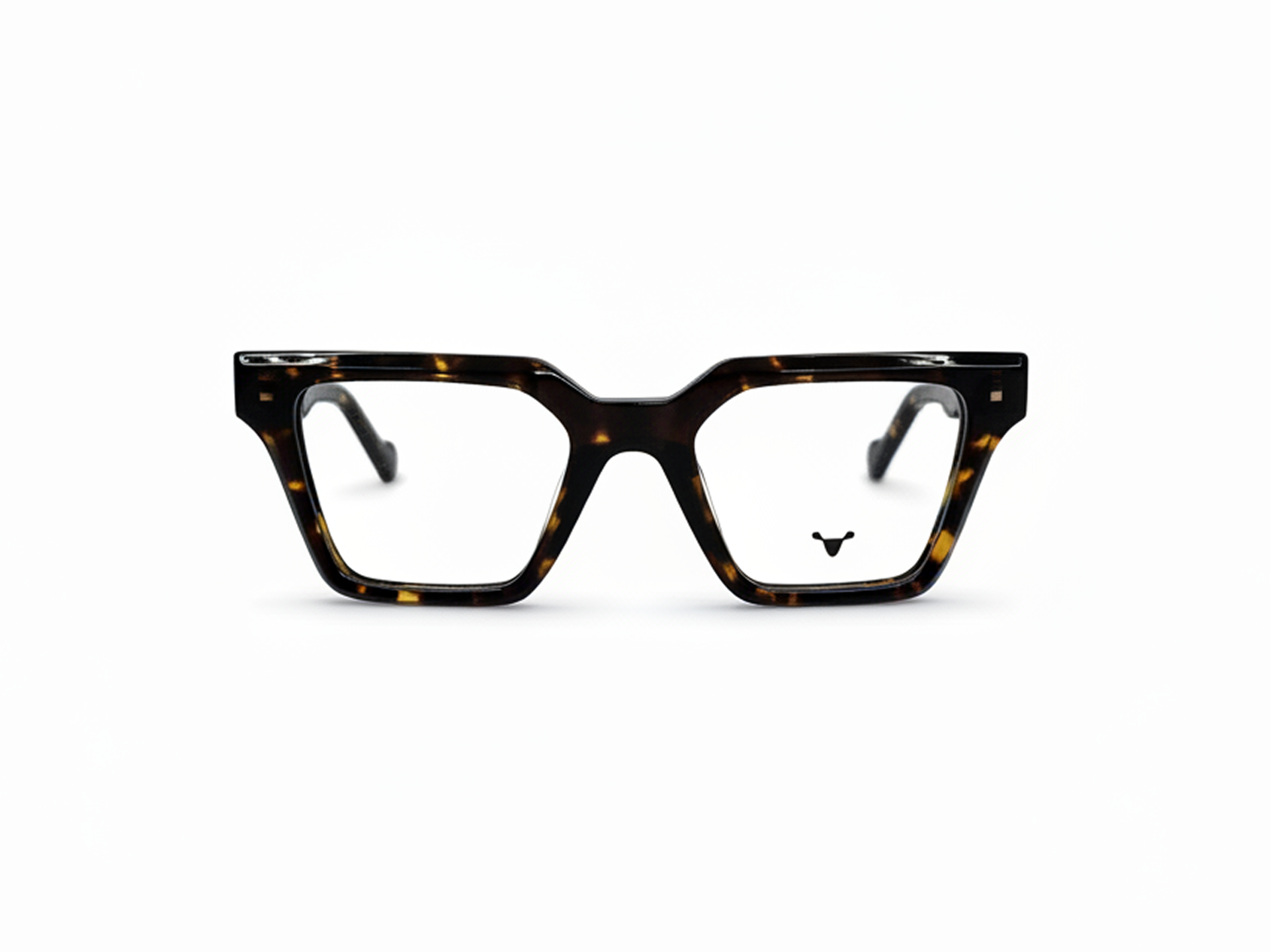 Viriato Eyeglasses